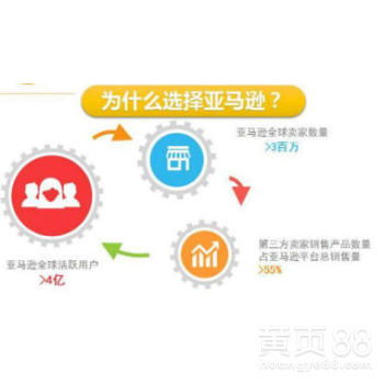 亚马逊无货源模式ERP采集软件贴牌定制 开启低成本跨境新赛道